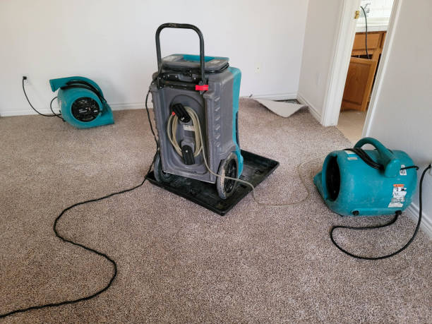 Best Flood restoration services  in Waynesboro, MS