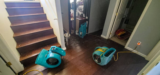 Best Water damage cleanup near me  in Waynesboro, MS