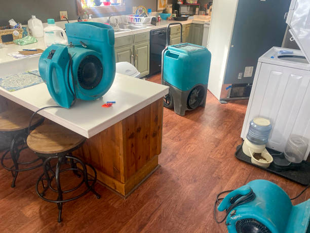 Best Ceiling water damage repair  in Waynesboro, MS