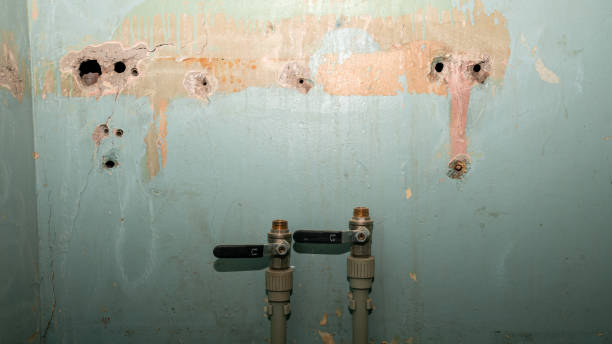 Best Professional water damage repair  in Waynesboro, MS