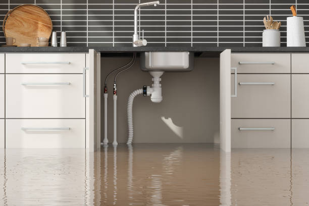  Waynesboro, MS Water damage restoration Pros