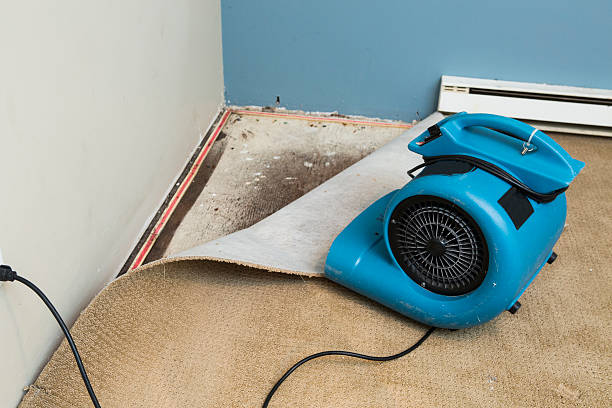 Best Water damage restoration process  in Waynesboro, MS